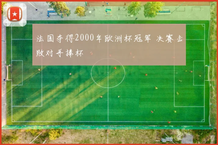 法国夺得2000年欧洲杯冠军 决赛击败对手捧杯