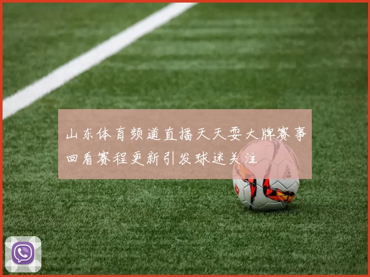 山东体育频道直播天天耍大牌赛事回看赛程更新引发球迷关注