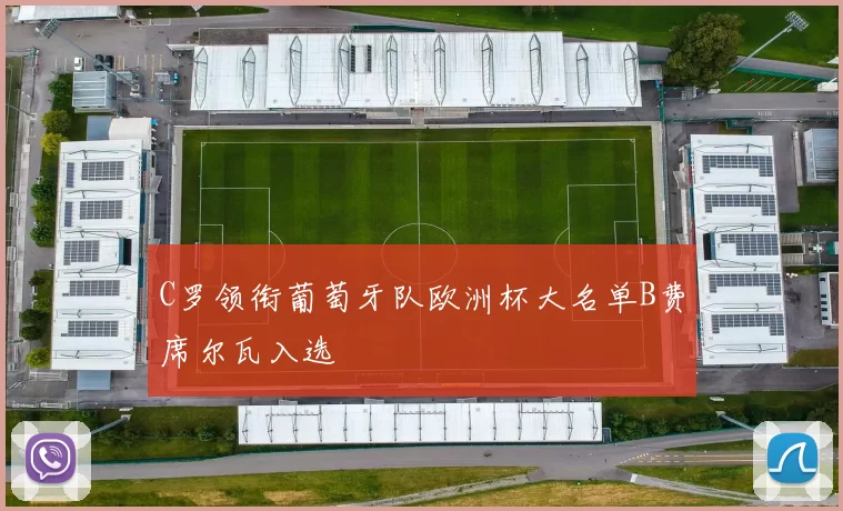 C罗领衔葡萄牙队欧洲杯大名单B费席尔瓦入选