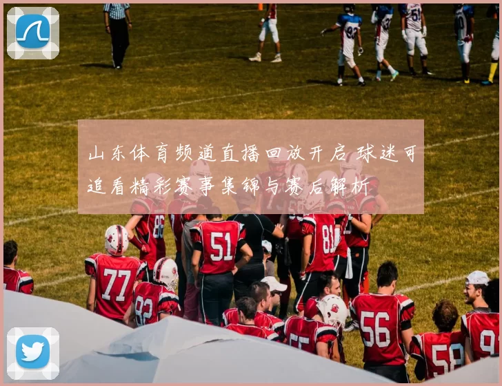 山东体育频道直播回放开启 球迷可追看精彩赛事集锦与赛后解析